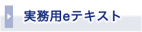 実務用eテキスト